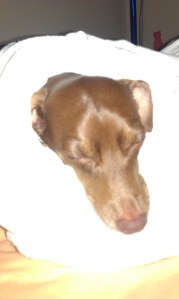 "It is a little warm in here"